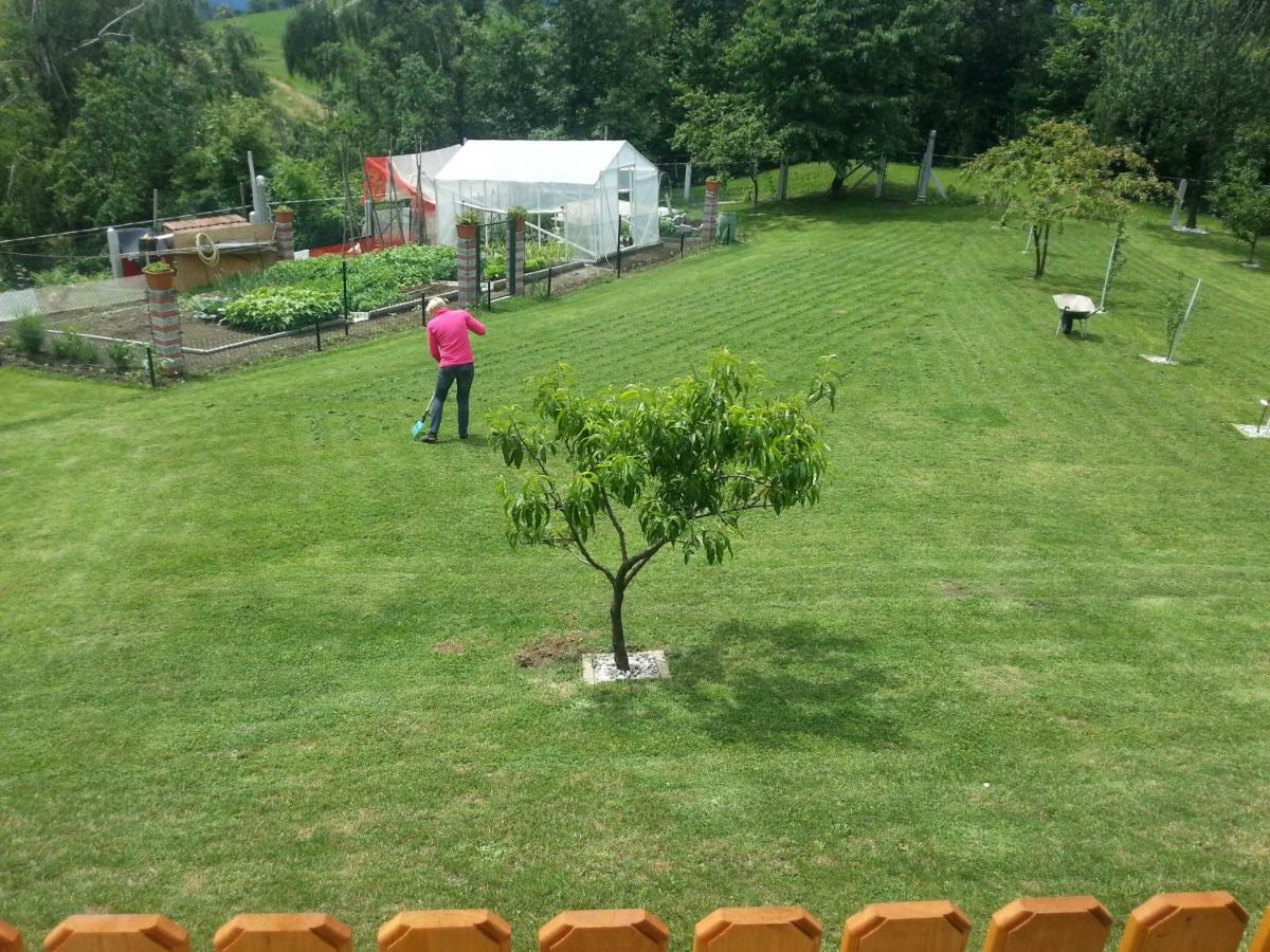 Sostanj Velenje Ravne Sobe Rooms Vrtacnik D O O 外观 照片